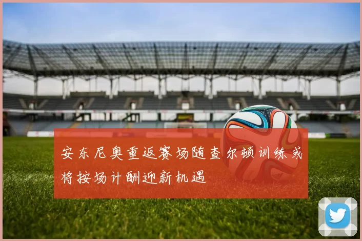 安东尼奥重返赛场随查尔顿训练或将按场计酬迎新机遇