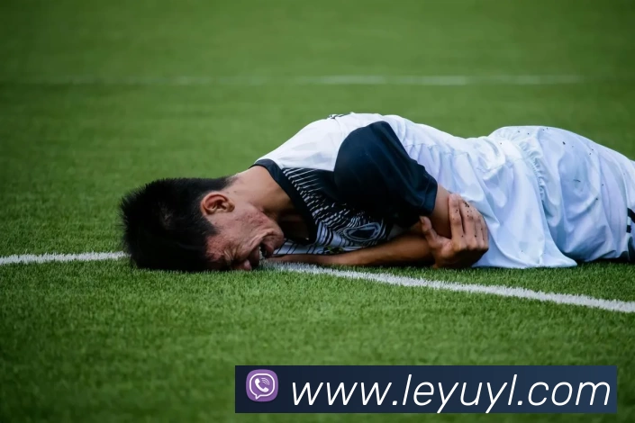 乐鱼娱乐APP 封面图